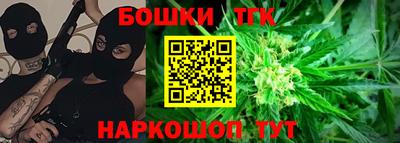 индика Краснознаменск